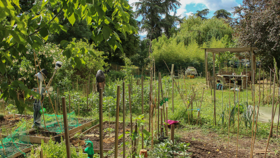 Lyon : la Duchère, futur quartier fertile et solidaire ?