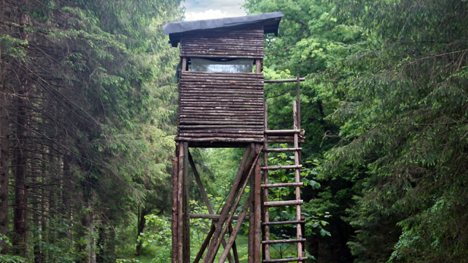 Près de Lyon : les miradors des chasseurs du Rhône de nouveau vandalisés