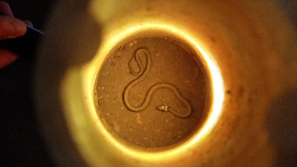 Lyon : un serpent découvert à la préfecture, les sapeurs-pompiers mobilisés - VIDEO