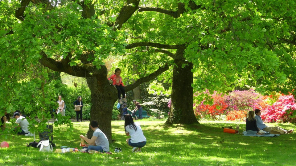 Rillieux-la-Pape fête ses 50 ans avec un programme rythmé ce samedi