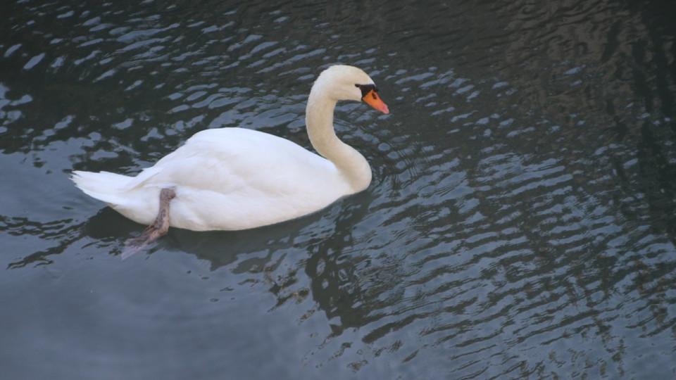 Le Mag des bons plans du week-end à Lyon (2 et 3 juillet)