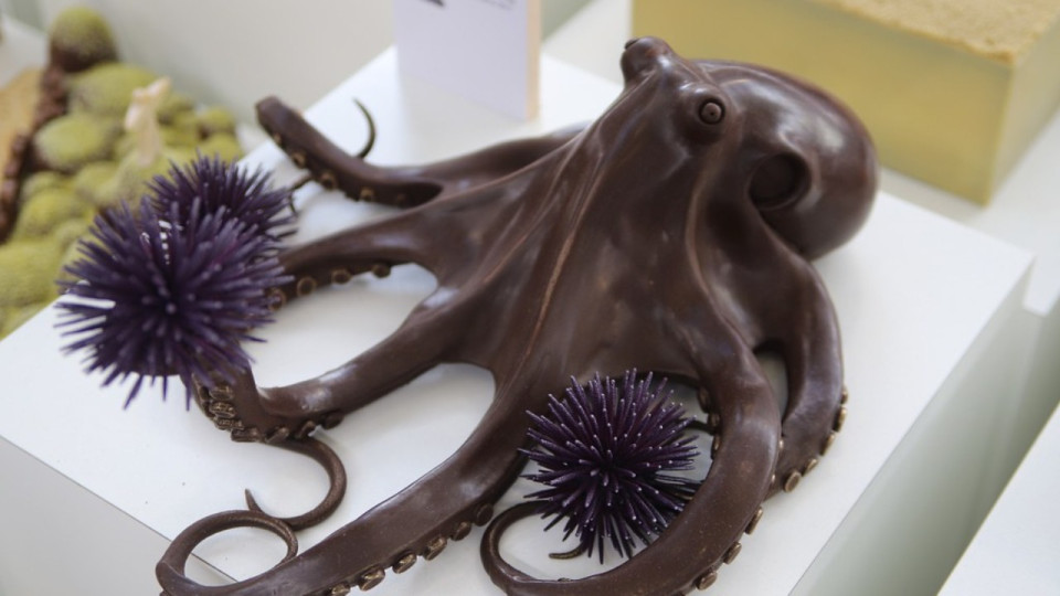 Dégustations et ateliers : le salon du chocolat de Lyon est prévu pour novembre