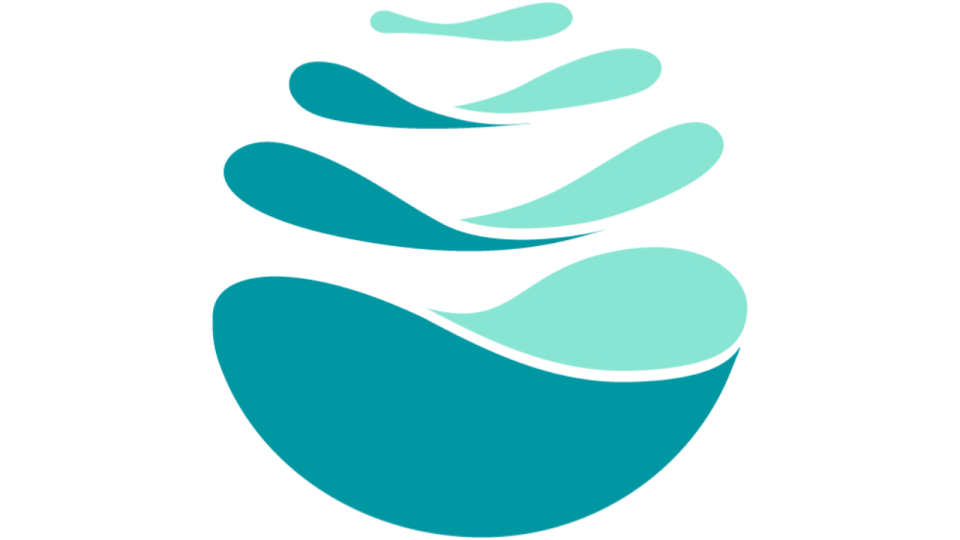 Les Lyonnais de Time for the Planet, pré-sélectionnés pour bénéficier des dons du ZEvent 2022