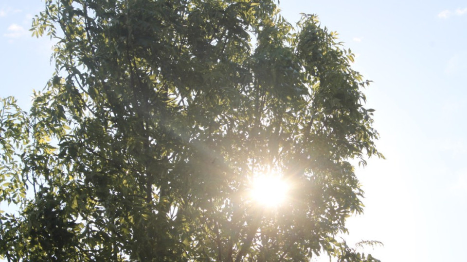 Le Rhône reste en vigilance orange canicule, 38 degrés attendus ce vendredi
