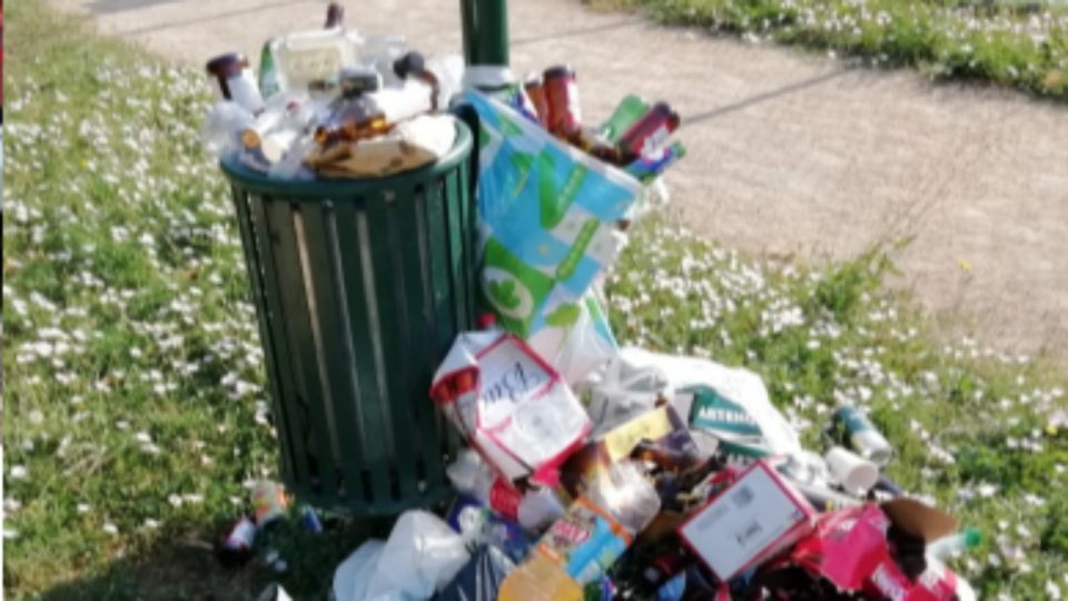 Francheville : une "politique suicidaire de sous-traitance" à l’origine de l’insalubrité des jardins municipaux ?