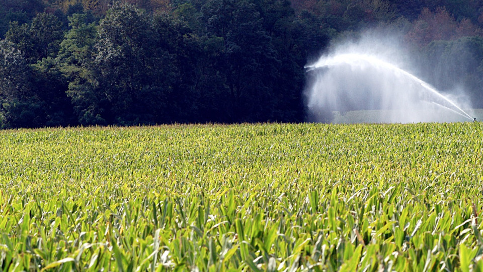 Sécheresse dans le Rhône : le préfet prend de nouvelles mesures face à la gravité de la situation
