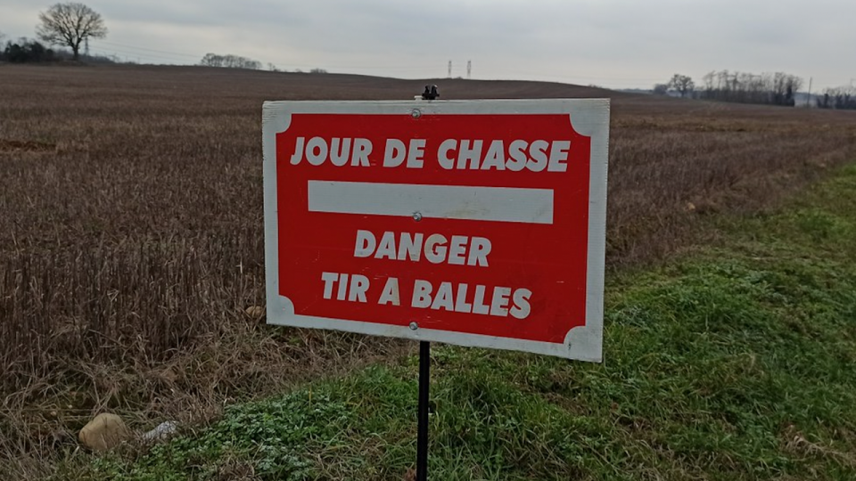 Près de Lyon : 56 chasseurs ont organisé une battue aux renards