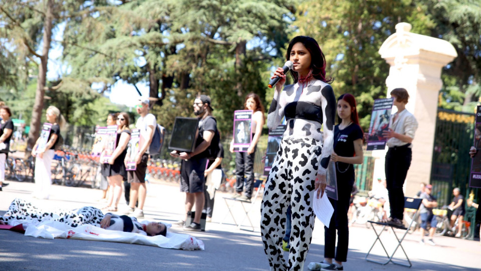 Lyon : un défilé de vegans en lingerie ce samedi