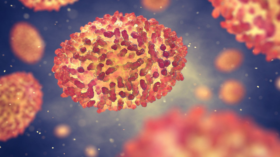 Variole du singe : 231 cas recensés en Auvergne-Rhône-Alpes, le Rhône principalement touché