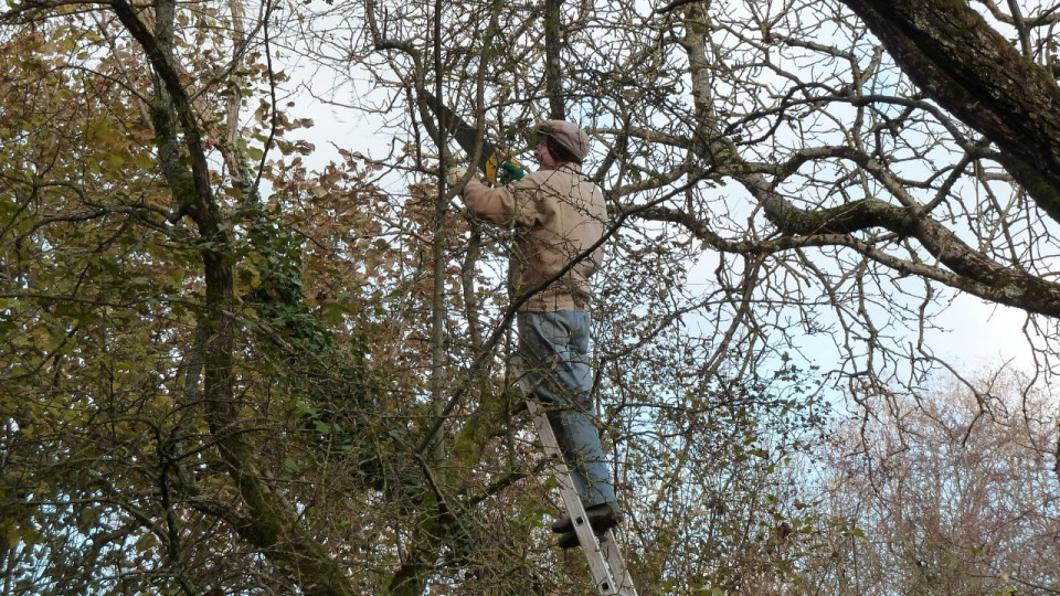 Métropole de Lyon : reprise de la collecte des déchets verts