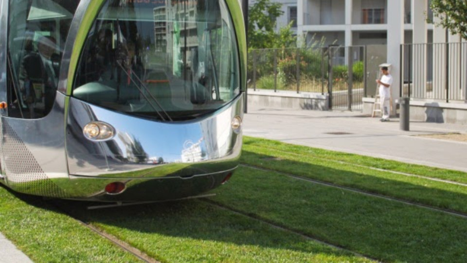 Sytral : près de 40 hectares de sols désimperméabilisés sur les parcours des trams T6N, T9 et T10