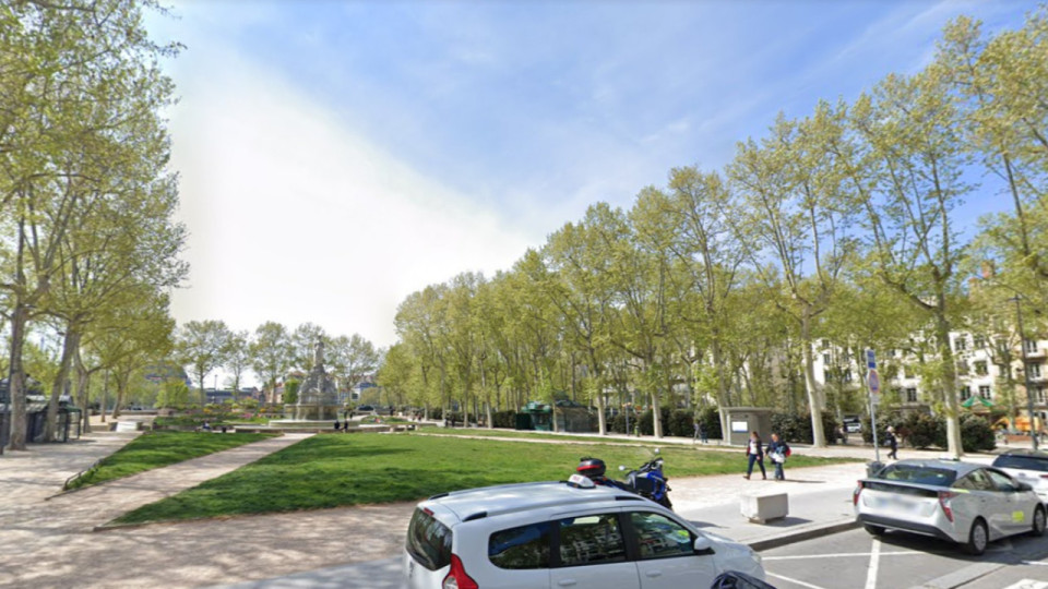 Lyon : une pelouse ravagée par des chiens changée pour 30 000 euros 