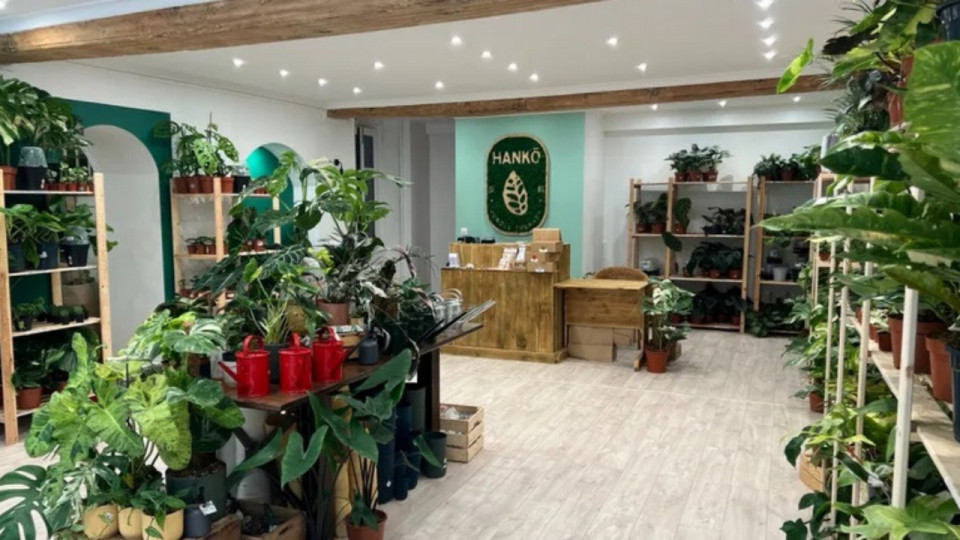 Une "Vogue tropicale" ce samedi en plein cœur de Lyon !