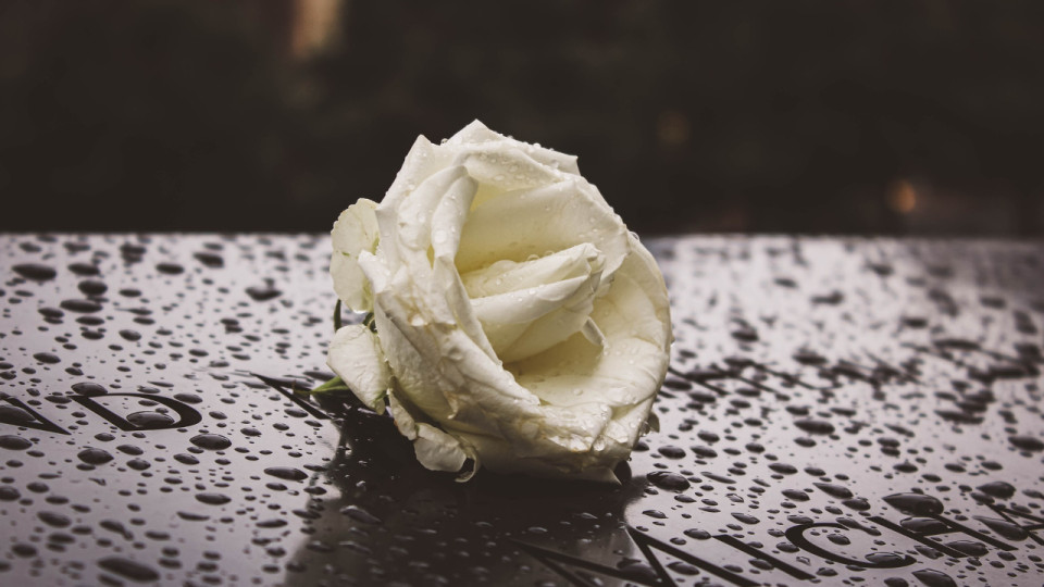 Restes humains découverts : une marche blanche organisée à Lyon pour rendre hommage à la victime 