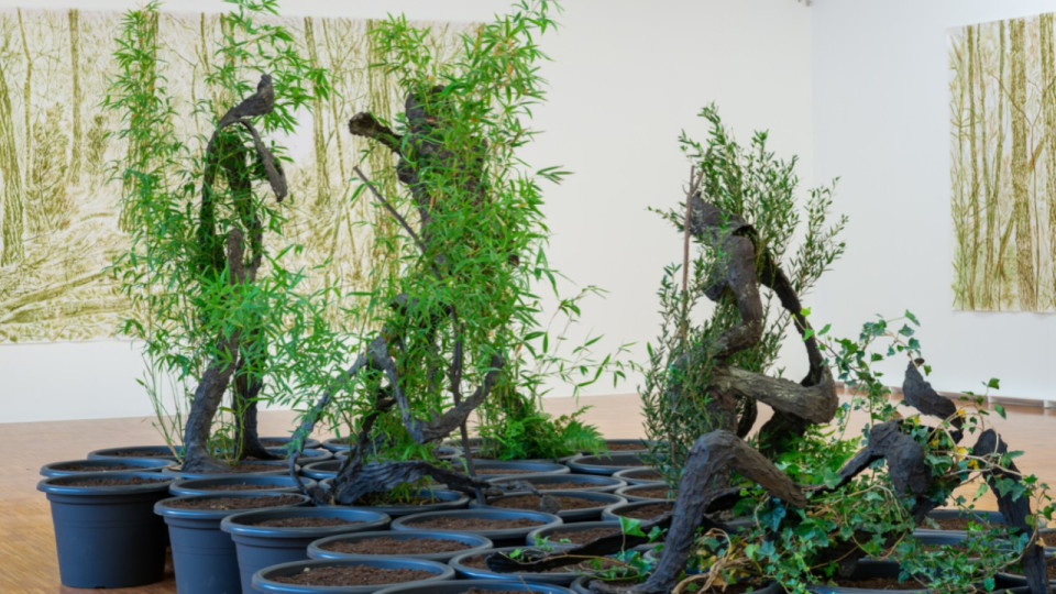 Dans la région : les musées de Grenoble bientôt gratuits pour faire passer la pilule de la taxe foncière