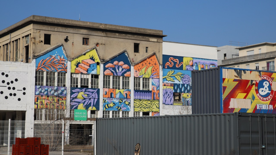 Avec le réaménagement des anciennes Halles Nexans, Grégory Doucet veut une ville de Lyon "favorable à la santé"