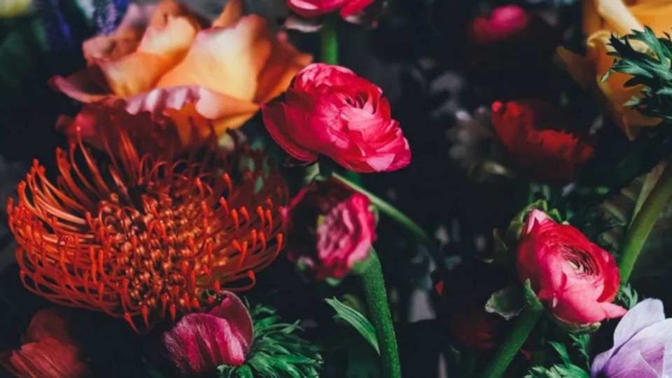 Où trouver les meilleurs fleuristes à Lyon ?