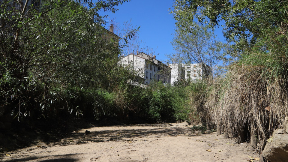 Absence de pluie cet hiver : le Rhône et la Métropole de Lyon en vigilance sécheresse