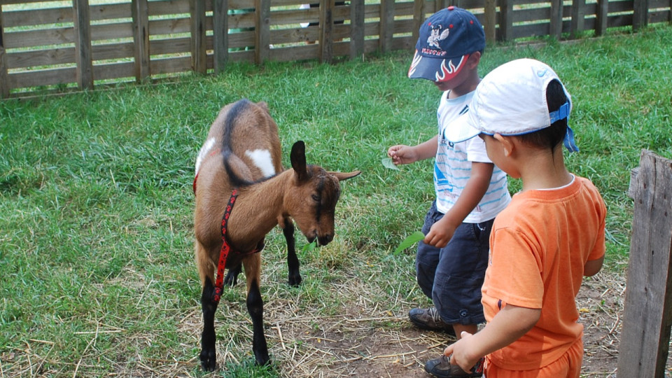 Rhône : 20 fermes ouvrent leurs portes ce week-end