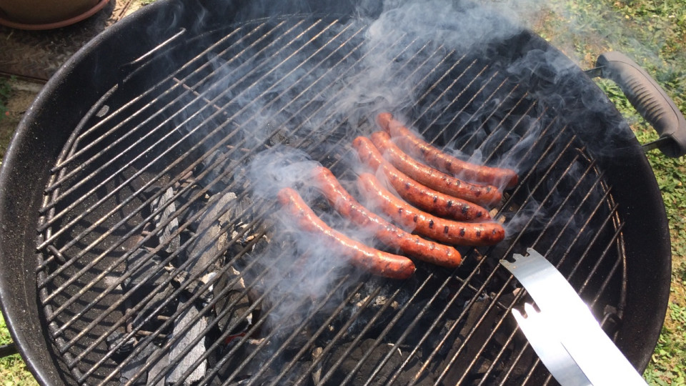 Près de Lyon : un homme et une femme brûlés lors d’un barbecue au Grand Parc de Miribel-Jonage