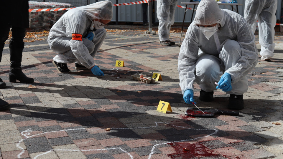 Animaux tués pour l'alimentation : une "scène de crime" de L214 ce samedi à Lyon