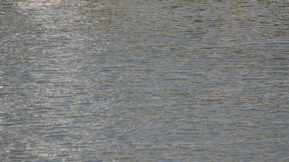 Près de Lyon : quantité excessive de perfluorés découverte au captage d’eau de Meyzieu