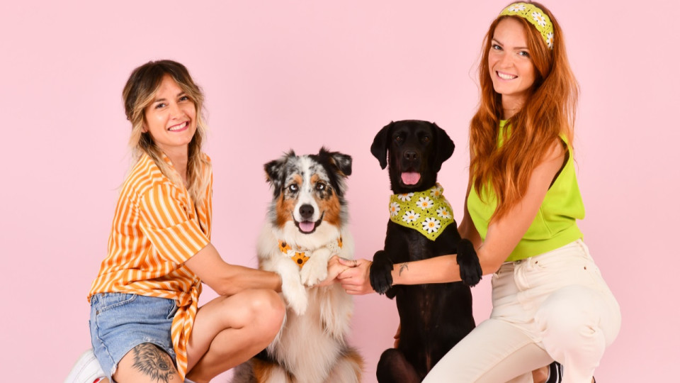 Près de Lyon : elles ont ouvert "le paradis des chiens"