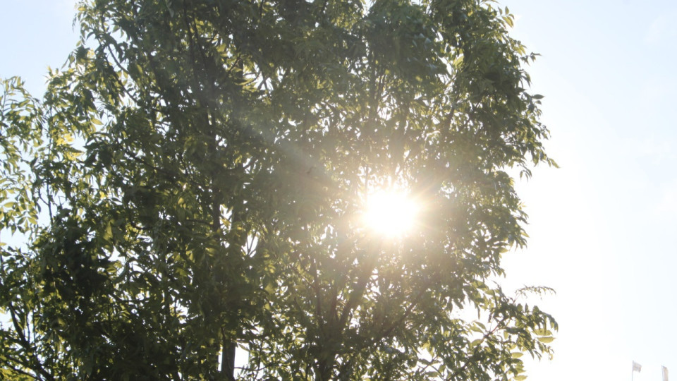 Rhône : vigilance orange canicule ce samedi