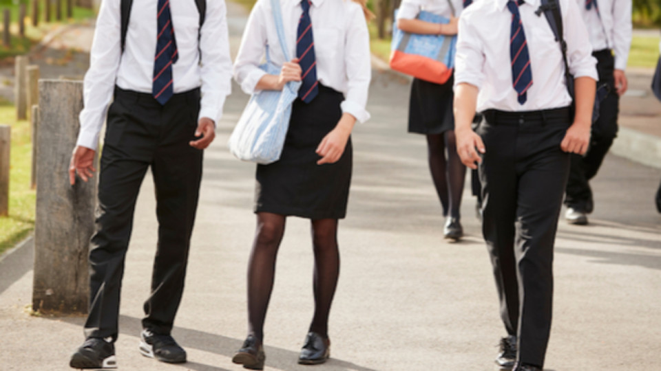 Uniforme testé en Auvergne-Rhône-Alpes ? EELV accuse Laurent Wauquiez d'être "au garde à vous devant l'extrême-droite"