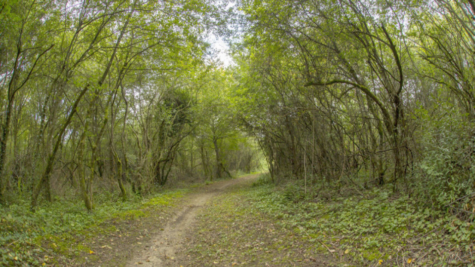 Pr&egrave;s de Lyon : les pompiers d&eacute;couvrent quatre bless&eacute;s dans les bois