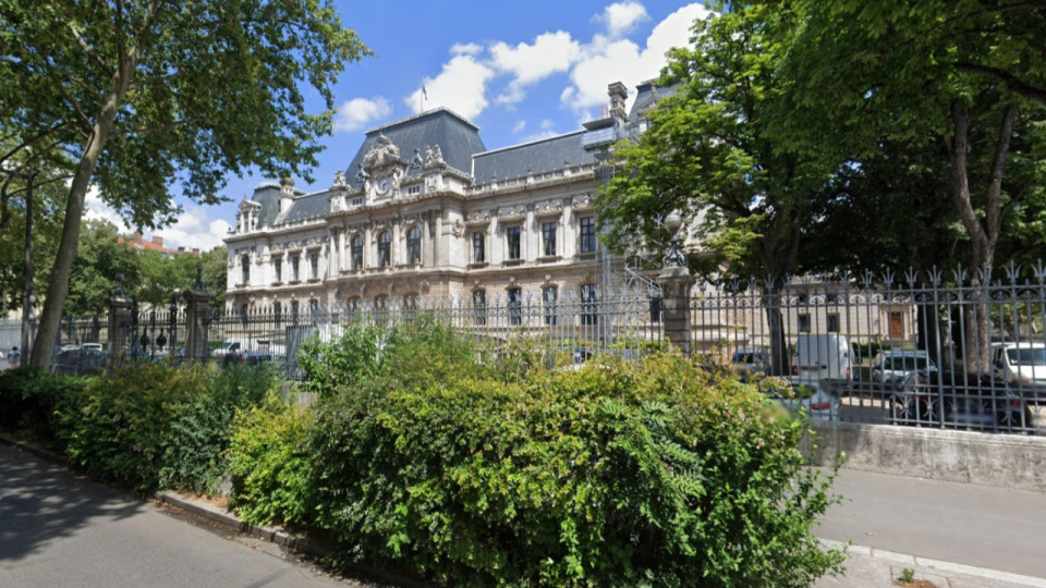 Lyon : trois arbres seront abattus dans le parc de la préfecture du Rhône