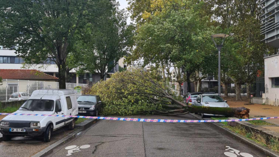 Vents violents : une trentaine d'interventions des pompiers à Lyon et son agglomération