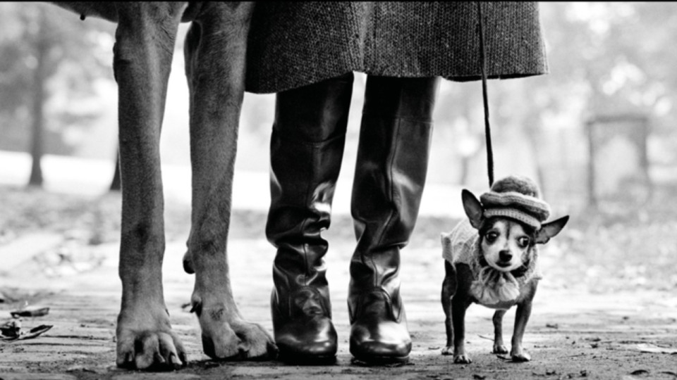 Décès d’Elliott Erwitt : l’expo consacrée au photographe à Lyon va proposer une nocturne gratuite