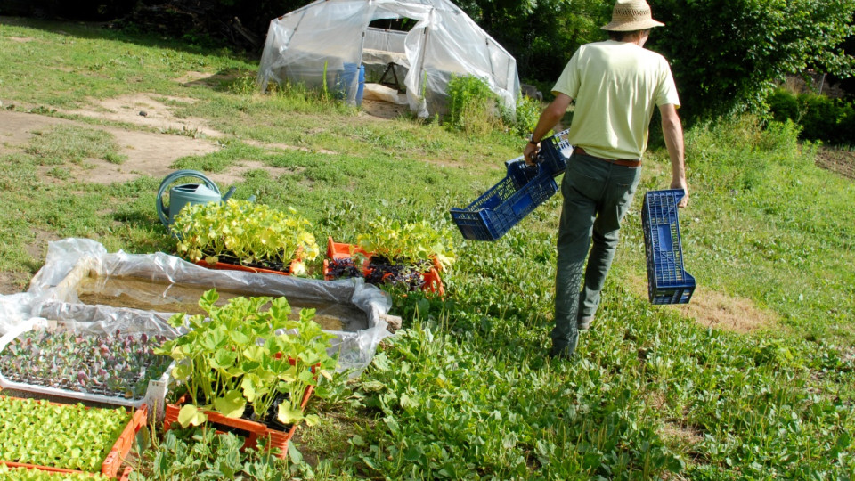 Des PFAS dans les sols, fruits et légumes et eau près de Lyon ? Le nouveau point de la préfecture du Rhône