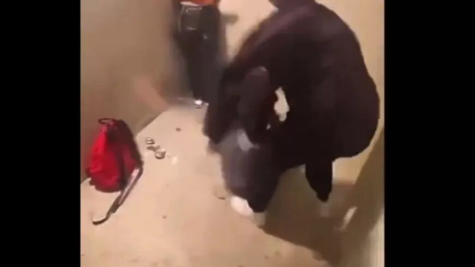 Lyon : les suspectes de l'agression ultraviolente d'une adolescente laissées libres