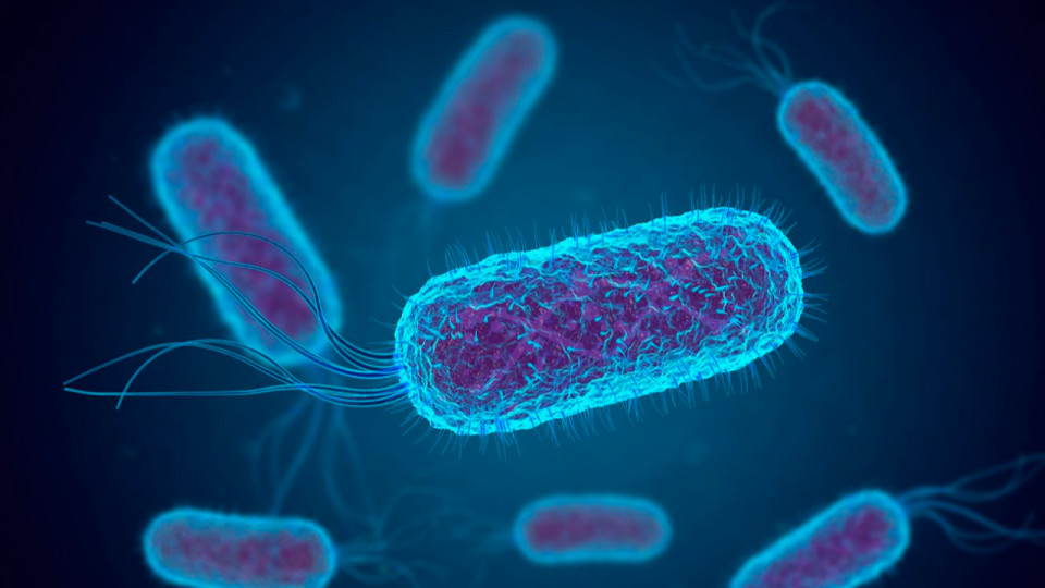 Bactérie E.coli : deux enfants contaminées près de Lyon