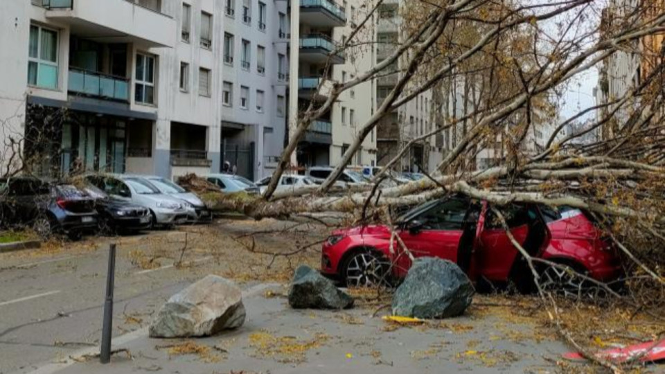 Le Rhône et Lyon balayés par le vent : les dégâts de la dépression Nelson