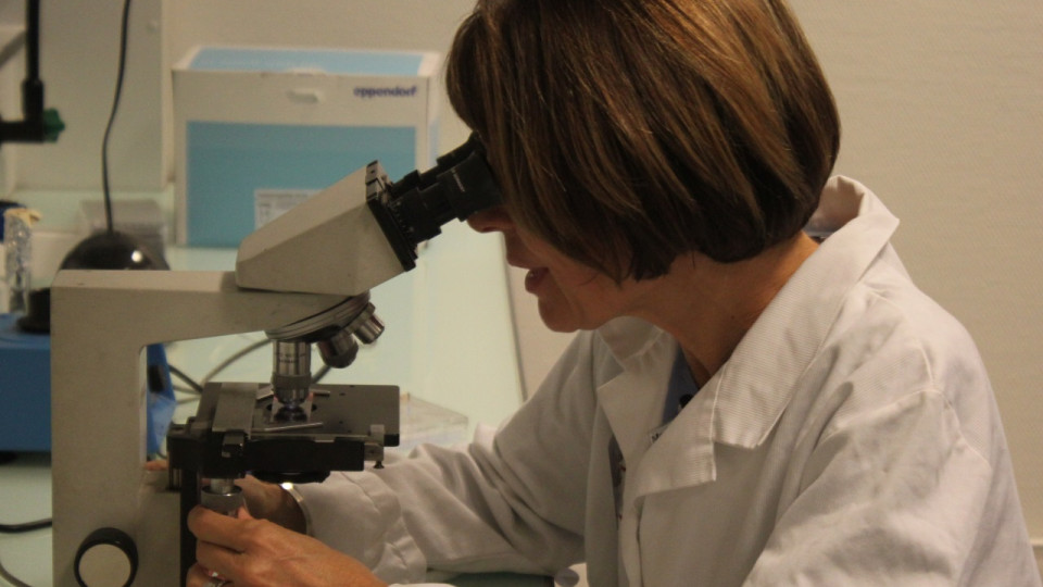 Violeur à la trottinette de Grenoble : un suspect confondu grâce aux experts d'Ecully ?