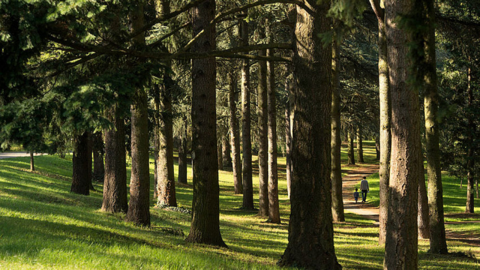Près de Lyon : les voleurs du parc de Parilly agressent un couple avec du gaz lacrymogène