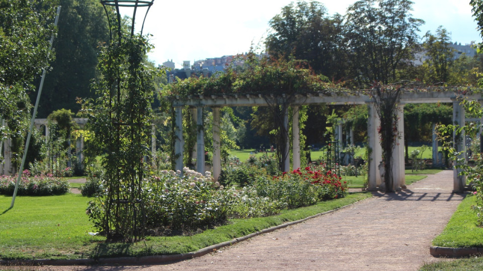 La 94ème édition du Concours international de roses nouvelles de retour à Lyon ce samedi