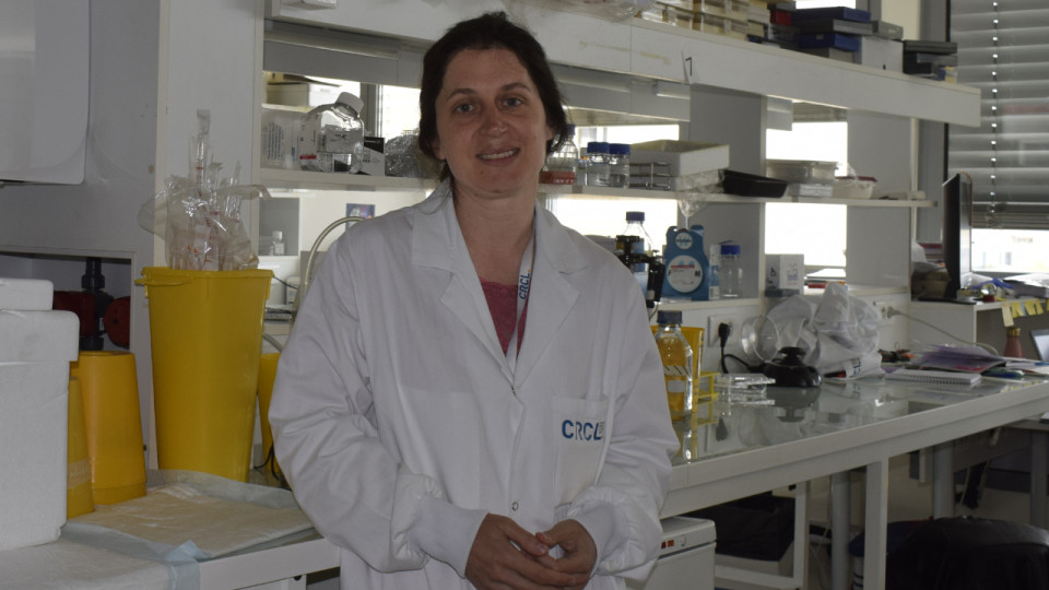 Lyon : une équipe au Centre Léon Bérard tente de percer les secrets du mélanome