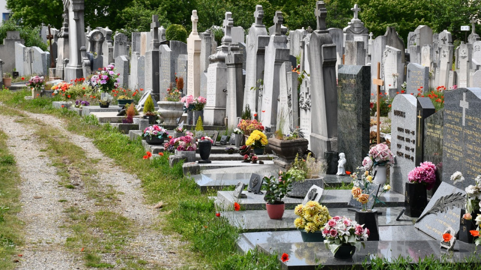 "À votre écoute" : la Ville de Lyon donne la parole à ses habitants sur les cimetières