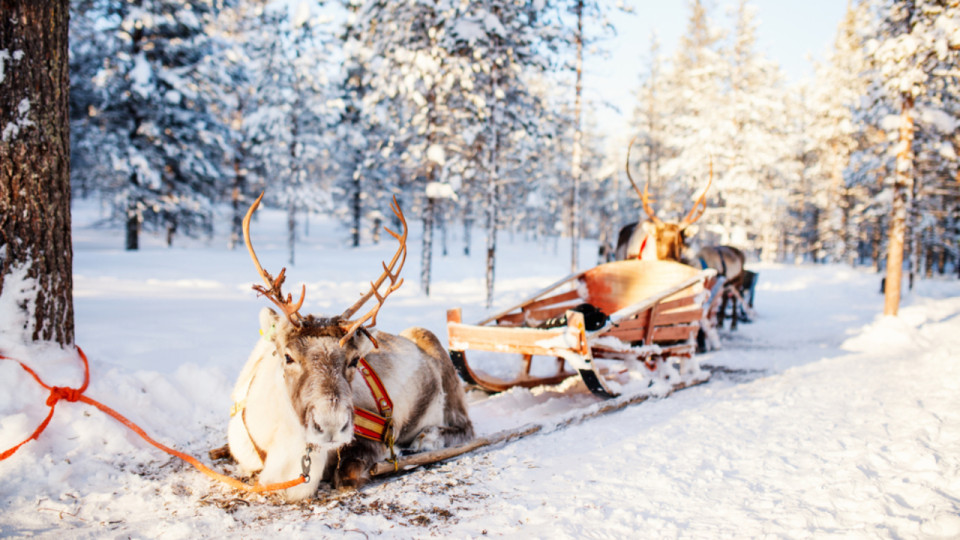 Bientôt une nouvelle liaison entre Lyon et la Laponie !