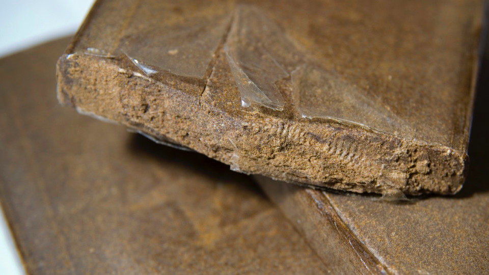 Vénissieux : à l'arrivée de la police, il tente de cacher sa drogue sur le balcon de son voisin