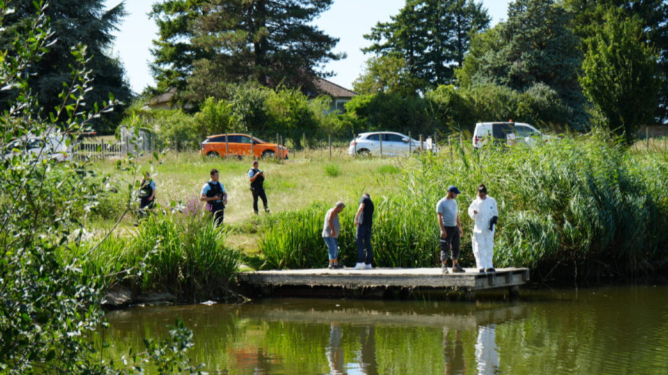 Près de Lyon : 800kg de poissons morts retrouvés dans un étang, du cyanure détecté dans l’eau