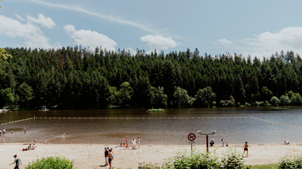 Trop de cyanobactéries dans l'eau : la baignade encore suspendue au Lac des Sapins