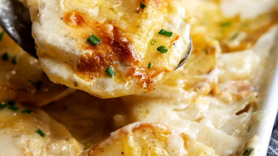 Près de Lyon : le premier concours du meilleur gratin dauphinois de France