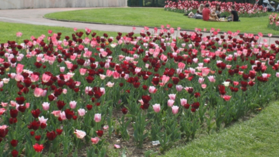 Lyon décroche la "4e Fleur" et un prix pour la préservation de l’environnement