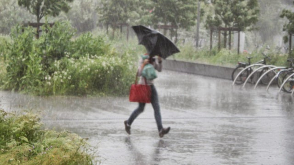 Kirk : des milliers de foyers privés d'électricité dans le Rhône, des chutes d'arbres à Lyon