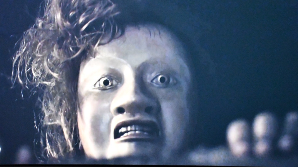 Lyon : le musée des Confluences plonge les visiteurs dans l’univers mystérieux du rêve